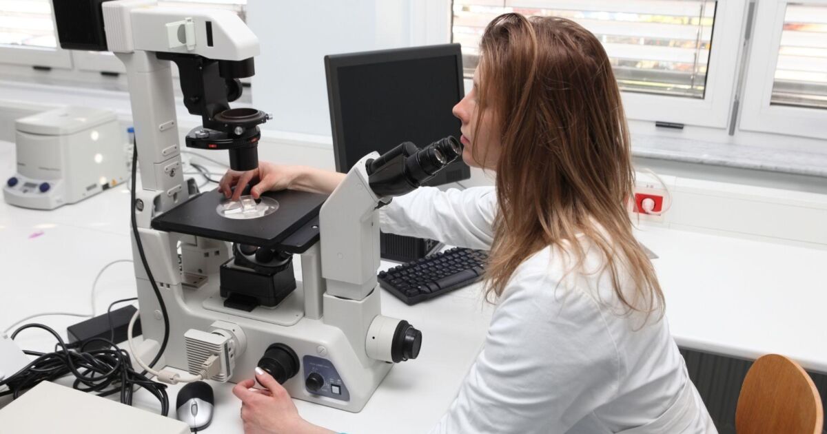 Antimicrobial Effectiveness Test Neopharm Labs